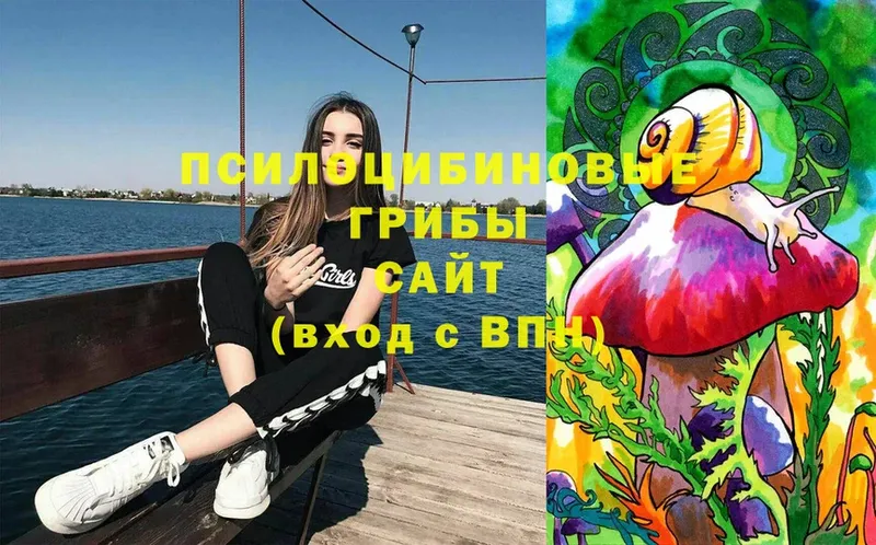 Псилоцибиновые грибы Magic Shrooms Сольвычегодск